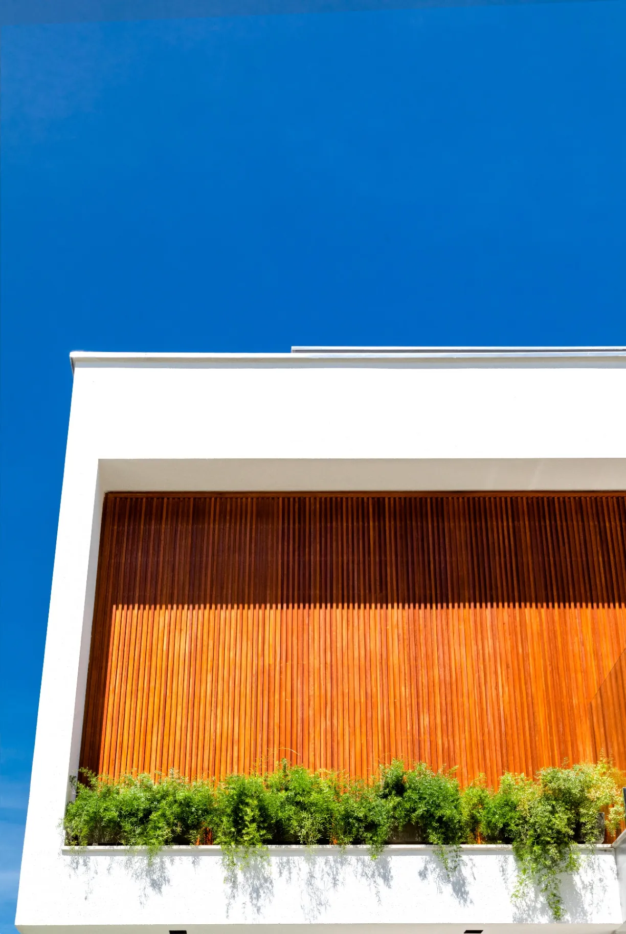 Casa Lótus - Imagem 7
